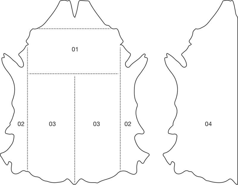 Leather hide parts diagram