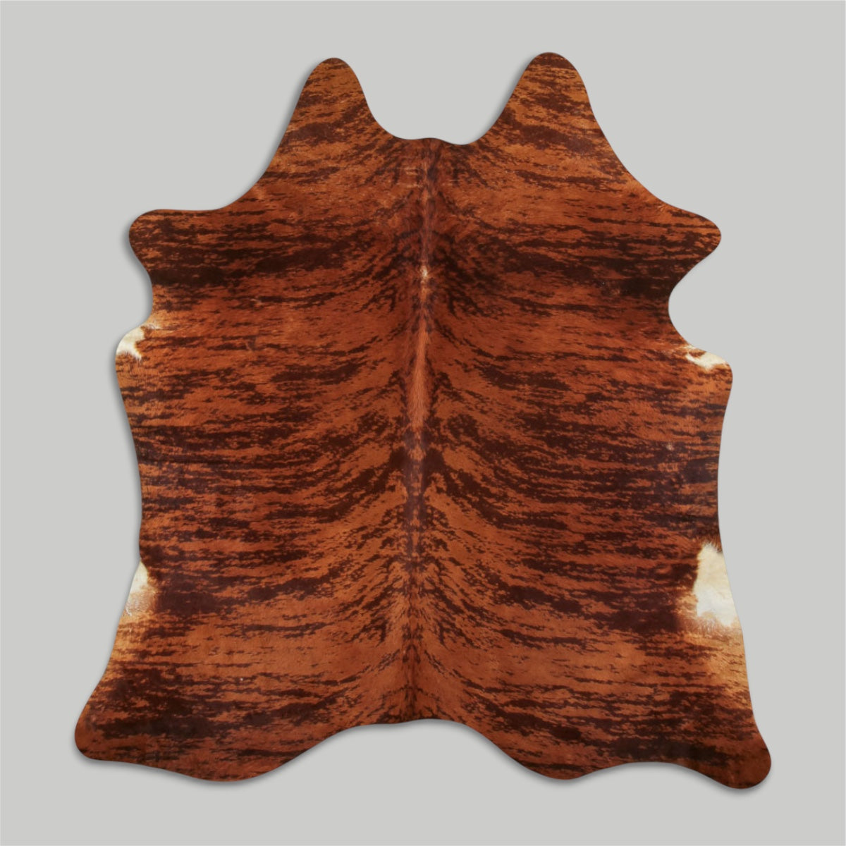 Brown Brindle 773