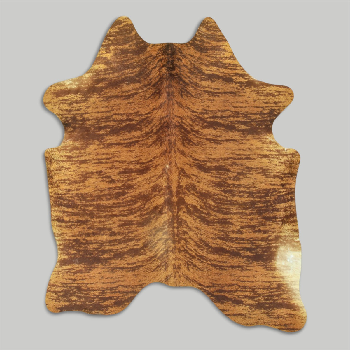 Brown Brindle 003