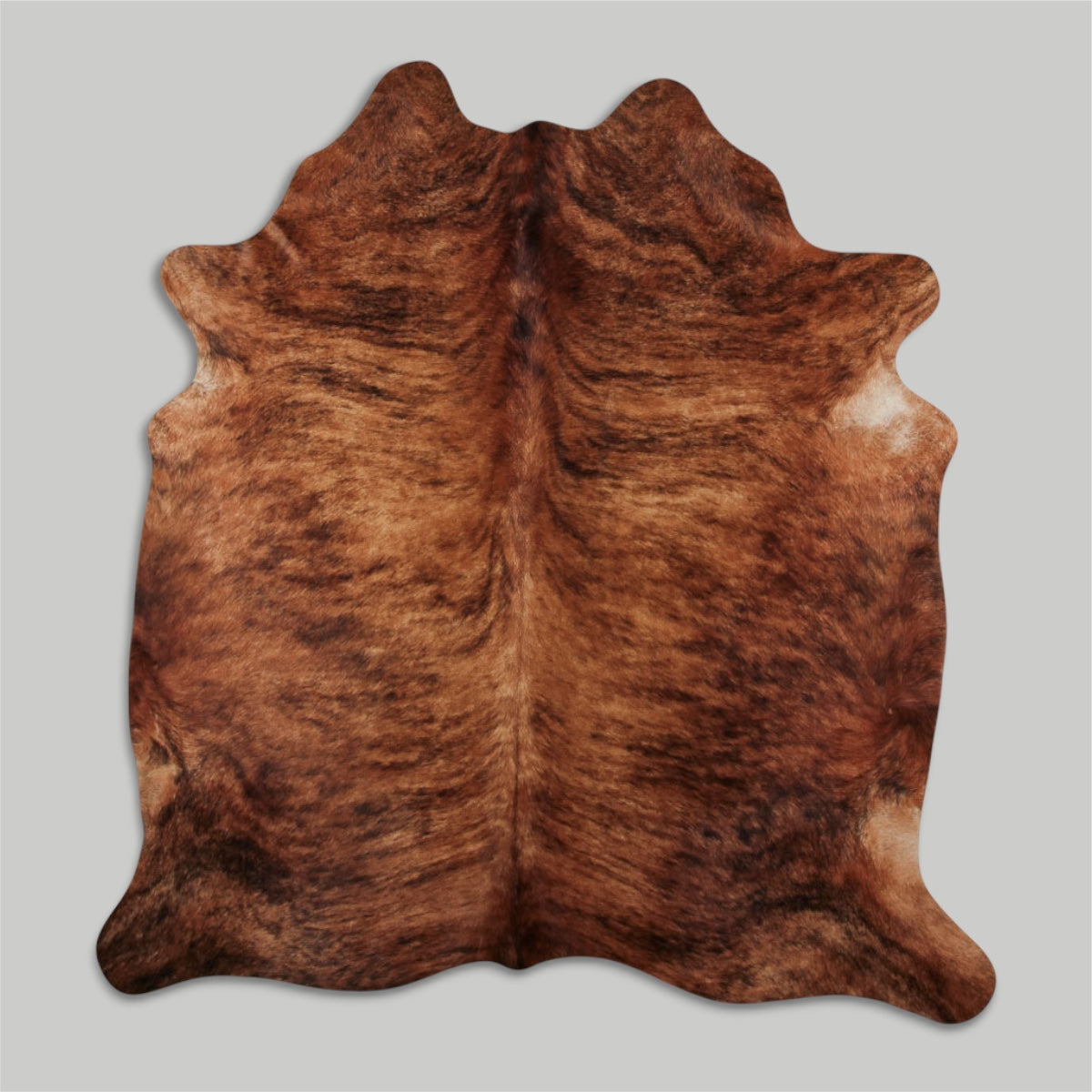 Medium Brindle 209