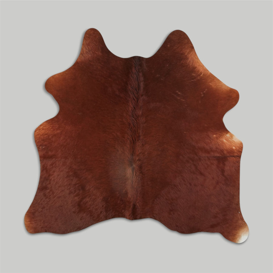 Brown 450