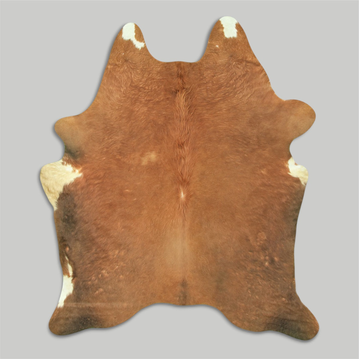 Brown 043