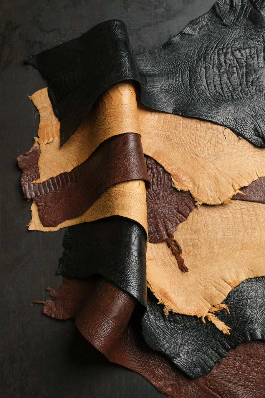Ostrich Legs - Canadian Tanned
