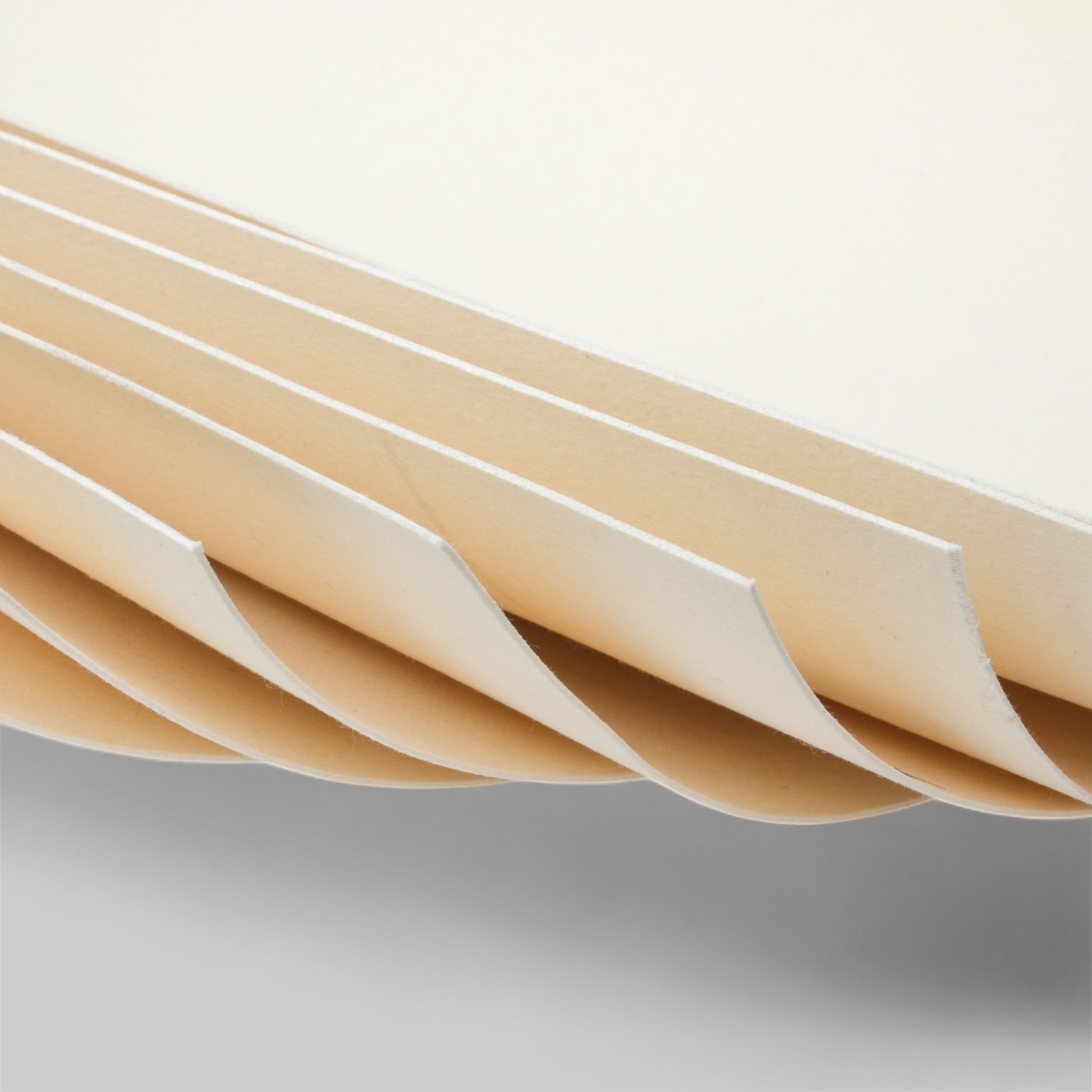 Celastic - Shoe Stiffener