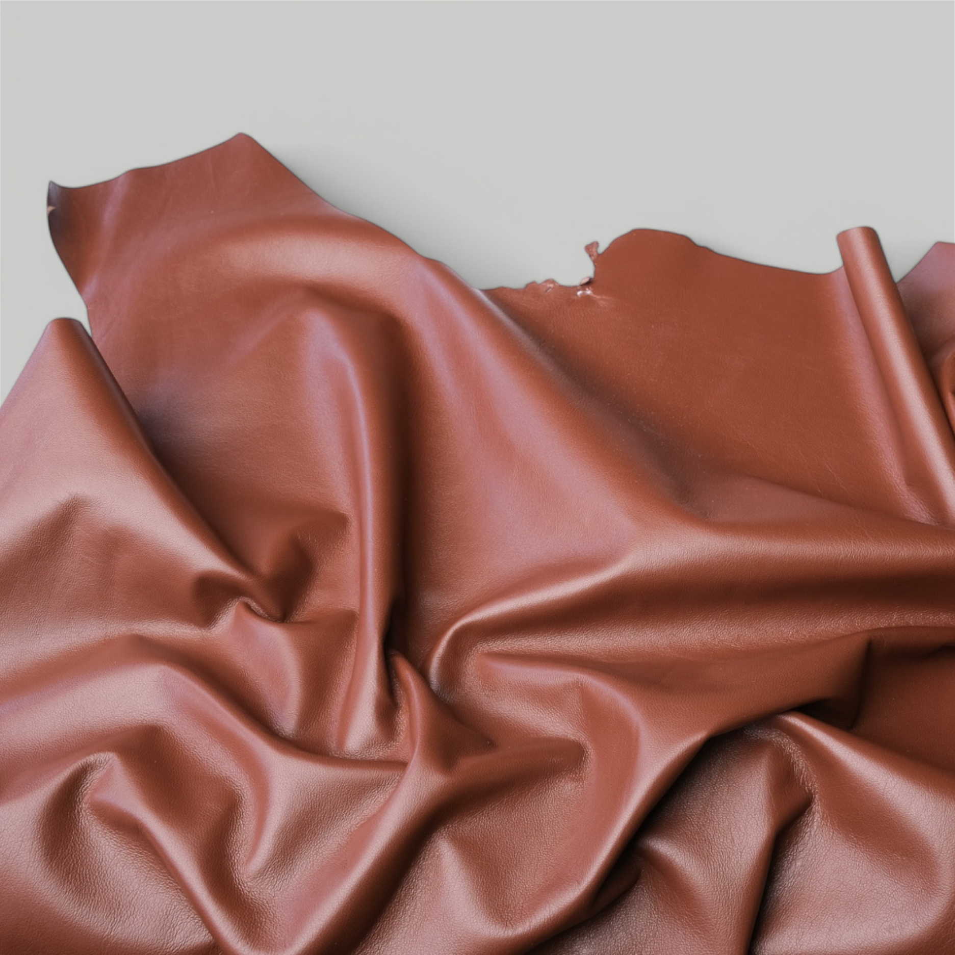 Dark Cognac
