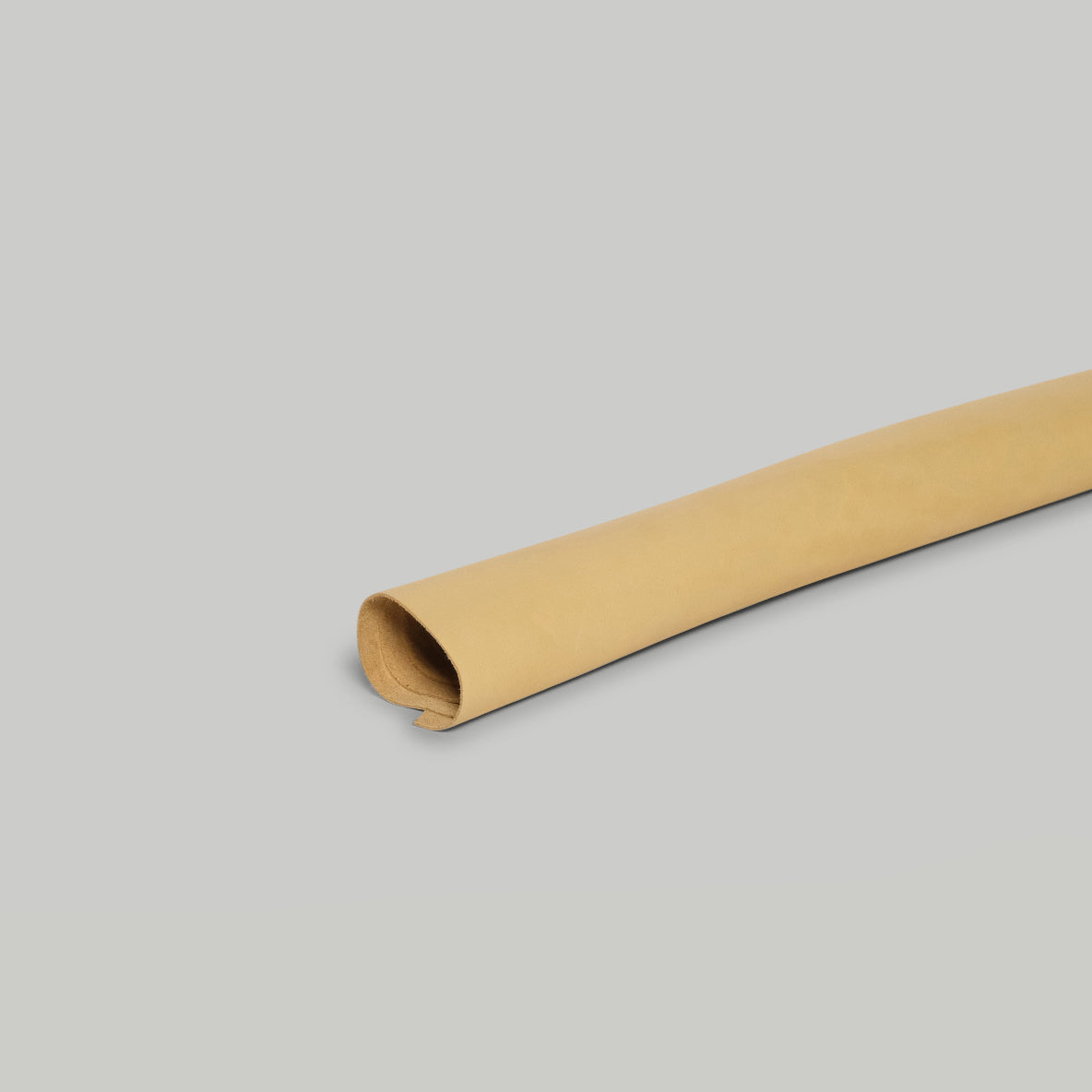Palomino
