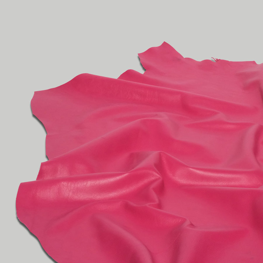 Fucshia