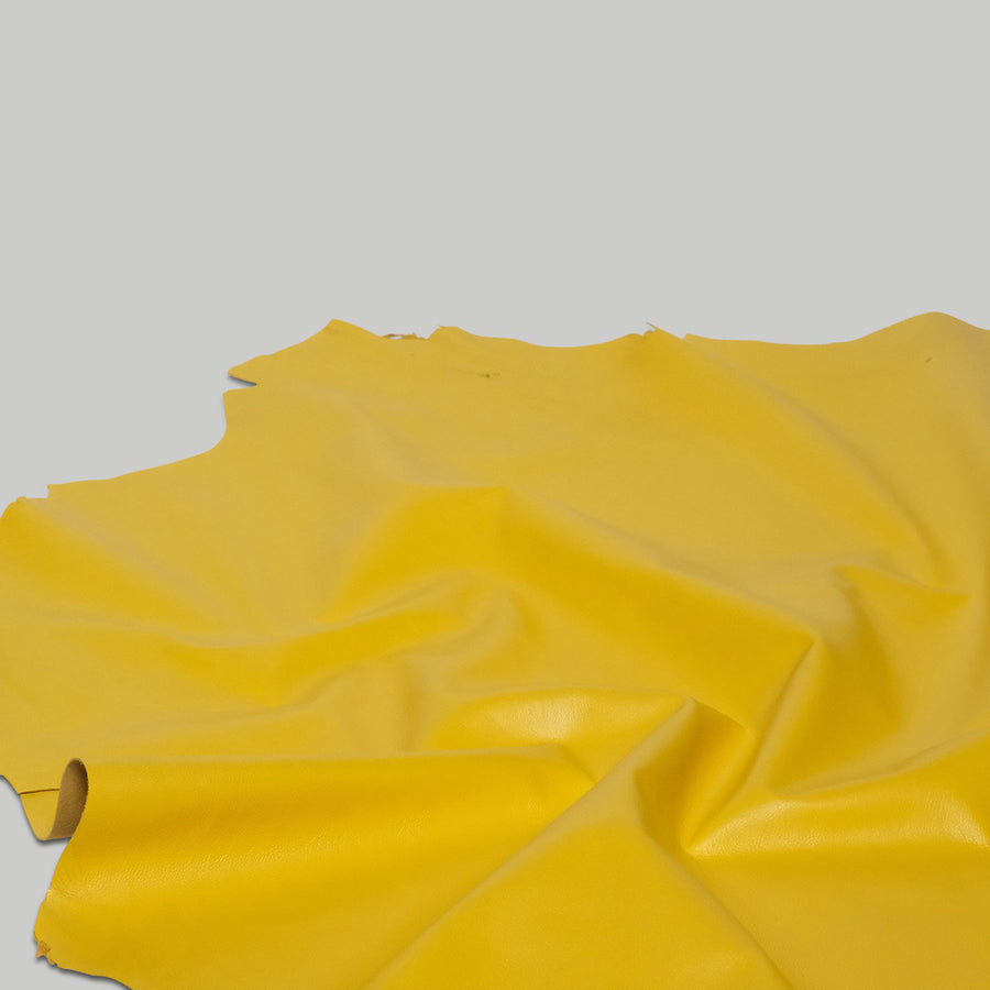 Sun Yellow
