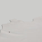 Load image into Gallery viewer, Lamb - Snake Print / 4 Colours

