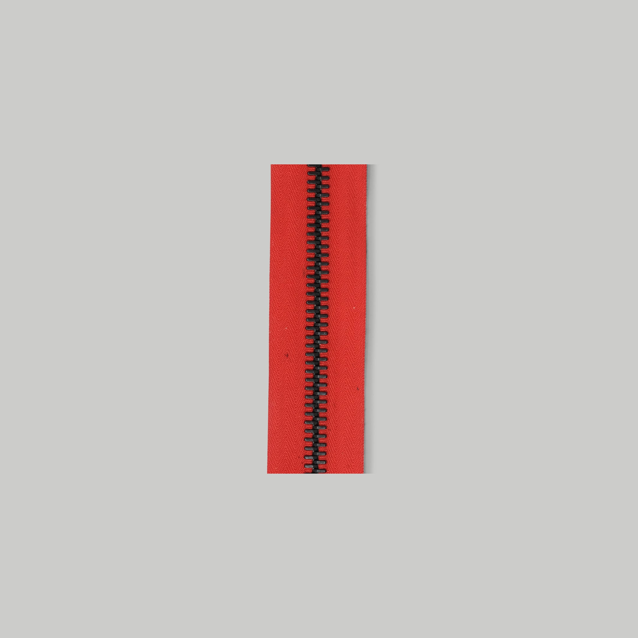 RACCAGNI Super R Zipper / Red tape